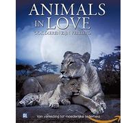 Animals in love (Blu-ray) Blu Ray
