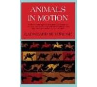 Animals In Motion