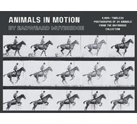Animals in Motion