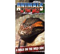 Animals in the Wild 2: Walk on the Wild Side [USA] [VHS]