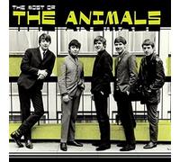 Animals - Most of the Animals