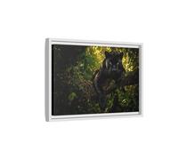 Animals Panther Black Framed Canvas Print - realistic Living Room, Above Couch 18×12 inch (45×30 cm) - Horizontal/White / 1.25 inch (3 cm)