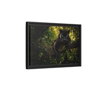 Animals Panther Black Framed Canvas Print - realistic Living Room, Above Couch 18×12 inch (45×30 cm) - Horizontal/Black / 1.25 inch (3 cm)