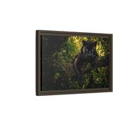 Animals Panther Black Framed Canvas Print - realistic Living Room, Above Couch 18×12 inch (45×30 cm) - Horizontal/Espresso / 1.25 inch (3 cm)