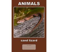 Animals - Sand Lizard: This is just a notebook, very nice wide-lined journal, 98 pages, white paper