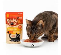 ANIMALUJOS - Lucky Lou Ave de Corral 125 g para Gatos Adultos | Alimento húmedo Completo, Alto en proteína, sin Cereales, Sabor Pollo - 6 Unidades.