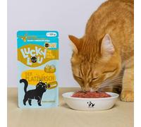 ANIMALUJOS- Lucky Lou Gatos Adultos Aves de Corral y Ciervo 125 g - Alimento húmedo Completo para Gatos Adultos, Rico en Carne, sin Cereales - 6 Unidades.