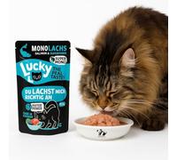 ANIMALUJOS-Lucky Lou Monoproteica para Gatos Salmón 125 g - Monoproteína de salmón, sin Cereales ni Gluten, con arándano y levadura de Cerveza, Alta aceptación- 6 Unidades