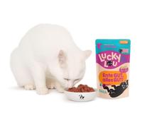 ANIMALUJOS- Lucky Lou para Gatos Adultos Aves de Corral y Pato 125 g - Alimento húmedo Completo para Gato Adulto, Alto en Carne, sin Cereales, con Calabaza - 6 Unidades.