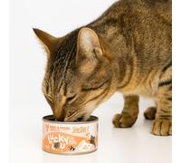 ANIMALUJOS - Lucky Lou Sensitive Gato Adulto Sensible Vacuno y Caballo 6x200g | Comida Húmeda Natural Sin Cereales | Digestión Suave | Alta Palatabilidad