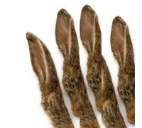 ANIMALUJOS - Orejas de Conejo Naturales con Pelo, Sin Pelo y Rellenas de Cordero para Perros | Snack Natural | 100% Natural (12 Unidades, Oreja Conejo Pelo)