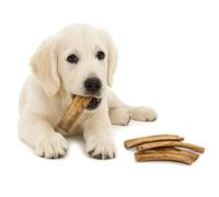 ANIMALUJOS - Pack 5 Costillas o Tuétano Ternera Recubierta Pulmón | Snack Natural Perros | Bajo en Grasa, Rico Proteína, Limpieza Dental, Duradero (5 Unidades, Costilla Ternera)