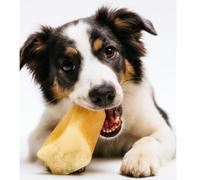 ANIMALUJOS - Pezuñas Naturales Ternera para Perros Pack 10 Uds Snack Duradero Masticable | Con o Sin Relleno de Paté | Chuche Saludable, Limpieza Dental y Antiestrés (10 Unidades, Pezuña Rellena Paté)