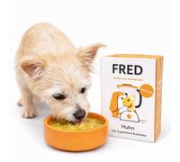 ANIMALUJOS Smoothies para Perros 200 g - Alimentación Complementaria Pack Mix (3 Unidades, Pollo-CÚRCUMA)