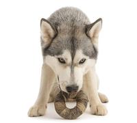 ANIMALUJOS - Snack Natural para Perros en Forma de Donuts con Piel de Pescado | Bolsa de 20 Unidades | Golosina Sabrosa y Saludable | Alta en Omega 3 | Sin Cereales ni Azúcares Añadidos