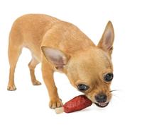 ANIMALUJOS - Snack Natural para Perros y Gatos en Forma de Costillas Pequeñas de Pollo | 50 Unidades | Golosinas Saludables y Deliciosas | Premio Natural para Mascotas