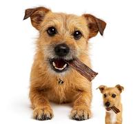 ANIMALUJOS - Snacks Naturales para Perros | Cecina 100% Vacuno o Bocaditos de Pollo y Manzana | Crujientes, Saludables y Sin Cereales | Alta Proteína, 500 Gr (Cecina Ternera 500Gr)