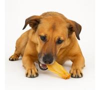 ANIMALUJOS-Snacks Naturales para Perros - Pack 10 Orejas de Ternera con Pelo o sin Pelo - 100% Natural, Bajo en Grasa, Rica en Colágeno y Fibra (10 Unidades, Oreja Ternera sin Pelo)