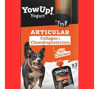 ANIMALUJOS - Yogur Natural para Perros Sabor Pollo 115 Gr Cada Yogur | Snack Saludable Sin Lactosa | Cuidado de Articulaciones | Rico en Colágeno y Glucosamina | Pack 3 Unidades