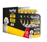 ANIMALUJOS - Yogur Natural Sin Lactosa para Perros con Salmón - Snack Funcional con Omega 3 y Prebióticos - Cuidado de Piel y Pelaje - Caja 10 Unidades - Sin Azúcares Añadidos