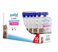 ANIMALUJOS - Yogur para Gatos LCASEI con Probióticos para Sistema Inmune - Sabor Pavo - 10 Unidades x 50g - Sin Lactosa, Ideal para Gatos con Digestión Sensible