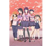 Animation - Bakemonogatari Blu-Ray Disc Box (6 Blu-Ray) [Edizione: Giappone] [Italia] [Blu-ray]
