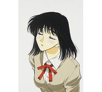 Animation [Japanese] - Vol. 2-School Rumble Nigakki [Alemania] [DVD]