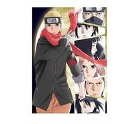 Animation - The Last -Naruto The Movie- [Edizione: Giappone] [Italia] [DVD]