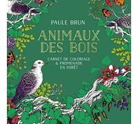Animaux des bois: Carnet de coloriage & promenade en forêt: 31612