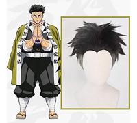 Anime Comic Demon Slayer Kimetsu no Yaiba Pelucas de Cosplay Himejima Kyoumei Peluca de Cosplay Peluca sintética resistente al calor Pelos negros