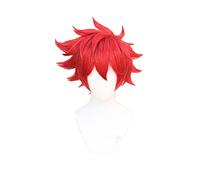 Anime cosplay peluca Anime SK8 El Infinity Reki Cosplay peluca Sk. Rojo corto peluca de pelo de fibra resistente al calor+peluca Cap Carnaval Fiesta Juego de rol Hombres Mujeres