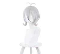 Anime cosplay peluca Princesa Connect Cosplay RE: Buceo Natsume Kokoro peluca disfraz prop plata gris pelo corto fiesta vestido de fantasía peluca