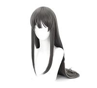 Anime cosplay peluca Sakurajima Mai Cosplay Pelucas Headwear Rascal Dreams No de Bunny Girl Senpai Pelo sintético Largo recto gris peluca