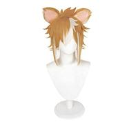 Anime Cosplay Wig for Gorou Cosplay Wig,With Ears Brown Mix White Short Wig Synthetic Hair,Halloween Costume Cosplay,for Christmas Carnival Party