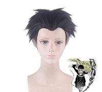 Anime Demon Slayer: Kimetsu no Yaiba Himejima Kyoumei Cosplay Wigs Short Heat Resistant Synthetic Hair Wig + Wig Cap PL-607