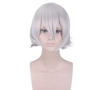 Anime Fate Grand Order Lang Lin Wang Peluca corta gris plateada Disfraz de cosplay Pelo sintético resistente al calor Hombres Pelucas de cosplay