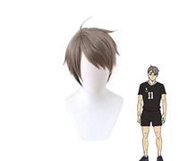 Anime Haikyuu !! Peluca corta Miya Osamu Disfraz de Cosplay Pelo sintético resistente al calor Haikiyu Party Role Play Pelucas