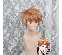 Anime HypnosisMic Division Rap Battle Cosplay Wigs Busujima Meison Riou Cosplay Wigs Heat Resistant Synthetic Wig + Wig Cap