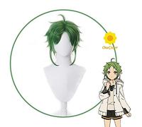 Anime Mushoku Tensei Sylphiette Greyrat Cosplay Green Wig Wig TRABAJADA REINARARNATION + Papa DE Pelo SINTÉTICO