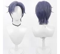 Anime Path to Nowhere Cosplay The Chief Of MBCC Female Hecate Peluca Gris Fiesta Peluca para Hombres y Mujeres (Hombre)