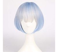 Anime Re Zero Start Life in einer anderen Welt Perücken Rem Ram Cosplay Synthetische Perücke Haar Halloween Karneval Party Frauen Cosplay Perücke Rem