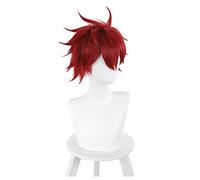 Anime SK8 the Infinity Reki Kyan Cosplay Wig SK Dark Red Short Wig Heat-resistant Fiber Hair + Wig Cap Carnival Party Role Play