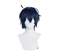 Anime The Case Study of Vanitas Cosplay Wig Vanitas no Karte Long Dark Blue Heat-resistant Fiber Hair+Wig Cap Halloween Party