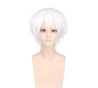 Anime Toaru Majutsu Sin índice Acelerador Peluca corta blanca Disfraz de cosplay Pelo sintético resistente al calor Hombres Pelucas de cosplay