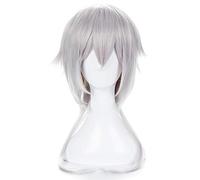 Anime Touken Ranbu en línea Tsurumaru Kuninaga Cosplay pelucas plata recta pelo sintético hombres y mujeres Anime disfraz peluca Perucas KUJ4501
