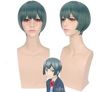 Anime Watashi ga Motete Dousunda Shima Nishina cosplay peluca Pelo sintético Kiss Him Not Me Cosplay pelucas verdes + gorro de peluca talla única PL-710 WIG