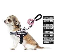 Animire in Training - Juego de arnés y Correa para Perro de Servicio con 10 Parches para Perro, Correa Reflectante con Mango Acolchado Suave (Rosa, XS)