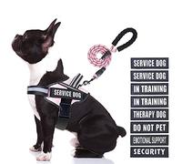 Animire in Training - Juego de arnés y correa para perro de servicio, con 10 parches para perros, correa reflectante para perro con mango acolchado suave para perros pequeños, medianos, grandes y