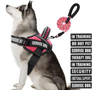 Animire in Training - Juego de arnés y correa para perro de servicio con 10 parches para perros, correa reflectante para perro con mango acolchado suave para perros pequeños, medianos, grandes y