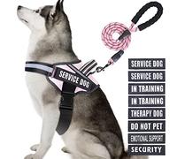Animire in Training - Juego de arnés y Correa para Perro de Servicio, con 10 Parches para Perros, Correa Reflectante para Perro con Mango Acolchado Suave para Perros pequeños, medianos, Grandes y